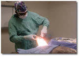 Dr. Gumbs performs surgery.