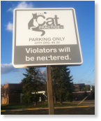 The Cat Practice parking sign - violators will be neutered!